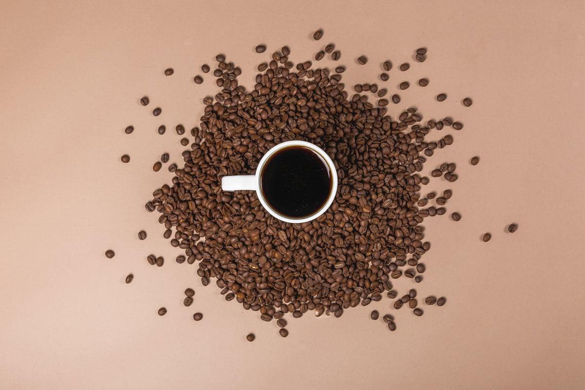 How to Store Coffee Beans to Keep Them Fresh Longer